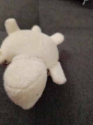 Peluche Tortuga