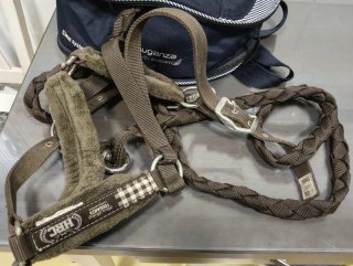 Set de Accesorios para Equitación