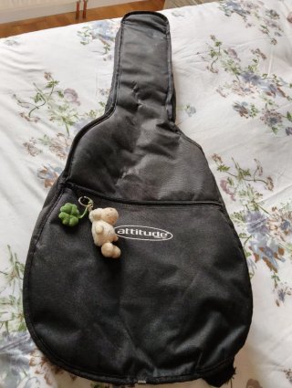 Funda de guitarra negra