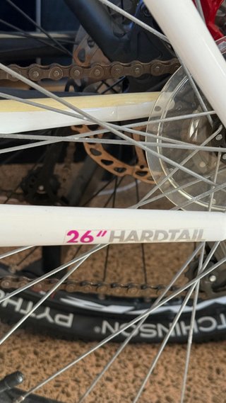 Bicicletas de montaña (2 unidades)
