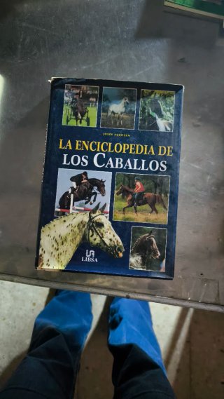Libros caballos y equitacion