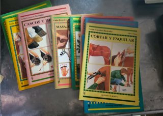 Libros caballos y equitacion