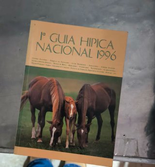Libros caballos y equitacion