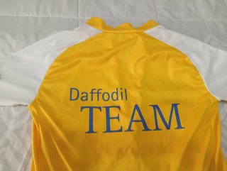 Maillot Endura Daffodil TEAM