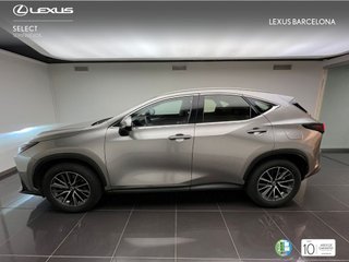 Lexus NX350H BUSINESS CITY 2022 REF 5688