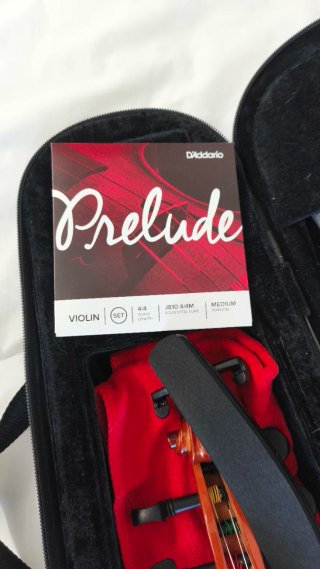 Violín con estuche y arco
