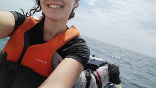 Cuidado/paseo de perros Alicante y alrededores