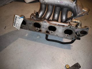 Colector Admisión Honda Accord K20 K24