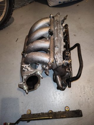 Colector Admisión Honda Accord K20 K24