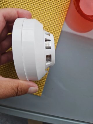 Detector de gas