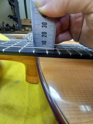 Guitarra de Palosanto