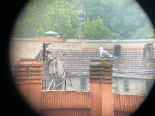 Telescopio Leupold SX2 HD Alpine 20-60x80 tripode