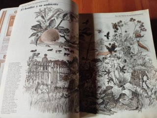 LA VIDA EN EL CAMPO  EL HORTICULTOR AUTOSUFICIENTE