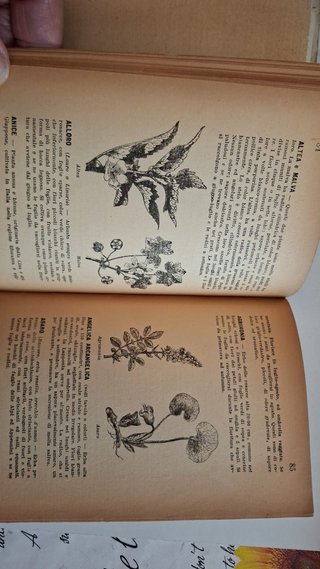 Libro vintage Per curarsi con le erbe del 1944
