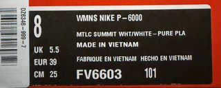 Nike P-6000