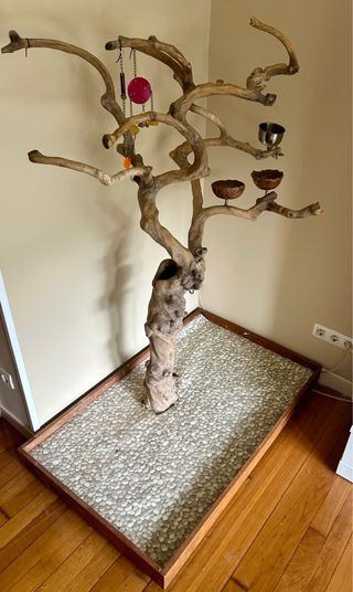 Árbol Java para loros y aves