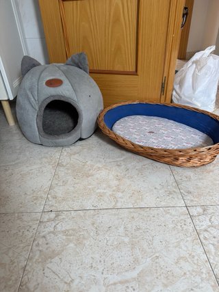 Cama para mascotas casi nueva , el precio es x u/d