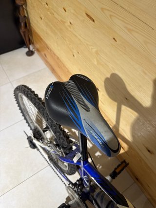Bicicleta OIARTZUN
