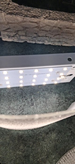 Applique LED Vetro e Metallo Luce Fredda