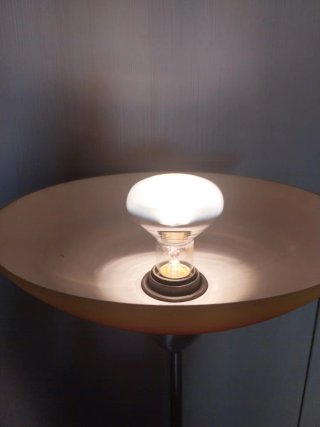 Lampada da terra con luce orientabile