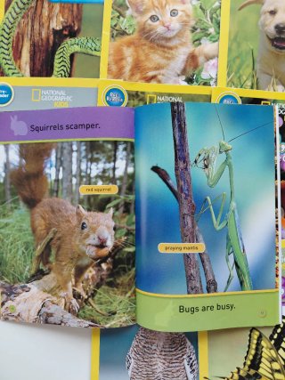 Libros National Geographic iniciacion lectura