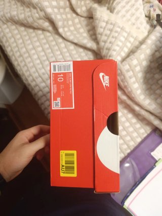 NikeDunkLowRetro 44  Totalmente reales
