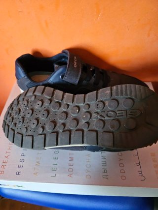 Deportivos niño Geox azul y blanco