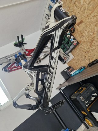 Quadro Scott Gambler