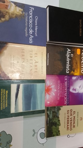 lote de libros