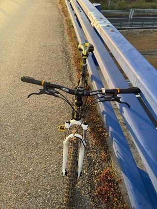 Bici Coluer 26