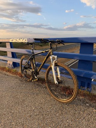 Bici Coluer 26