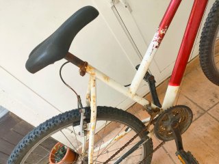 Bicicleta roja y blanca