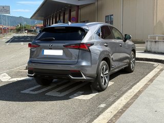 Lexus NX Luxury 2018