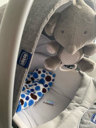 Carro de bebé gris con osito