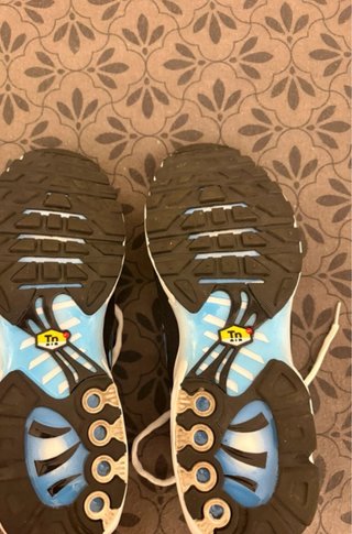 Nike Air Max Plus TN