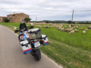 BMW R 1250GS Adventure 2019  98.000km "NO CAMBIOS"