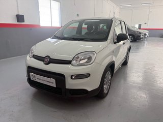 FIAT PANDA 1.0 HYBRID 70CV - 2024