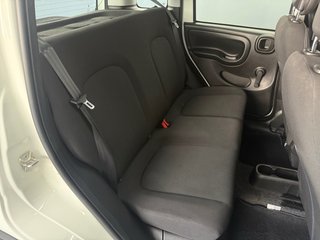 FIAT PANDA 1.0 HYBRID 70CV - 2024