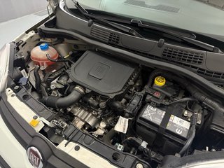 FIAT PANDA 1.0 HYBRID 70CV - 2024