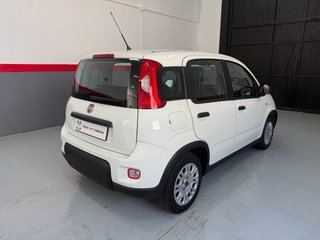 FIAT PANDA 1.0 HYBRID 70CV - 2024