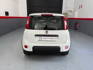 FIAT PANDA 1.0 HYBRID 70CV - 2024