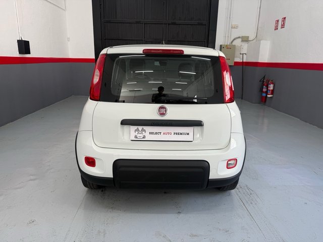 FIAT PANDA 1.0 HYBRID 70CV - 2024