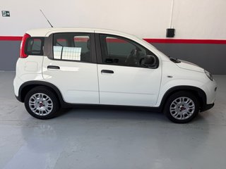 FIAT PANDA 1.0 HYBRID 70CV - 2024