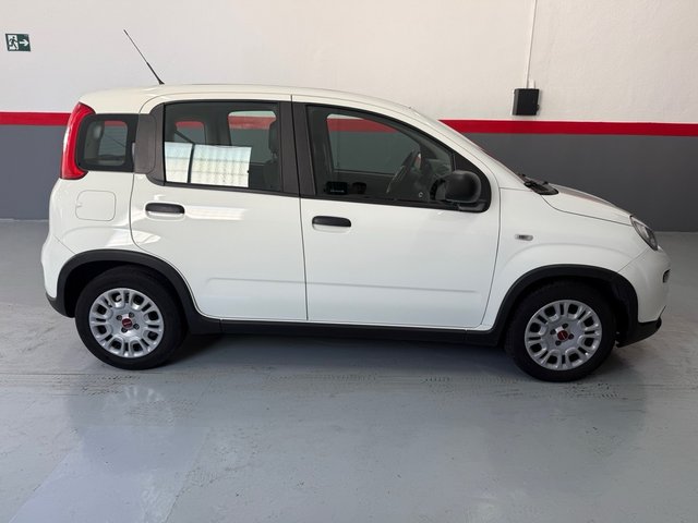 FIAT PANDA 1.0 HYBRID 70CV - 2024