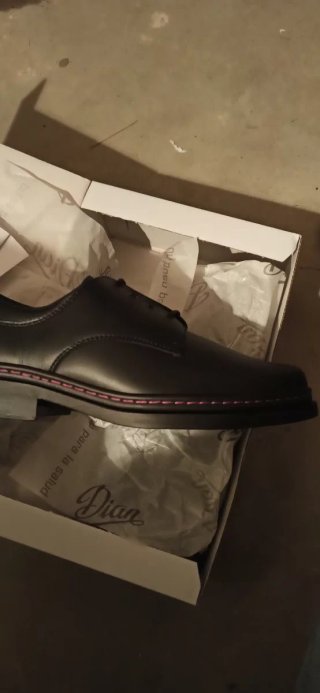 Zapatos de trabajo mujer Dian talla 38
