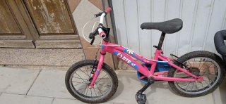 Bicicleta infantil DTB Fun 16 rosa