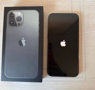 iPhone 13 Pro Max Gris Espacial