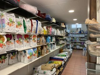 Traspaso tienda para animales