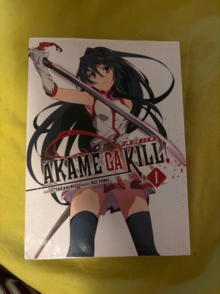 pack variado de mangas