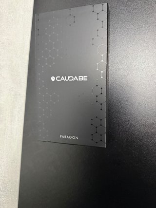 Caudabe Paragon iPhone 17 pro max
